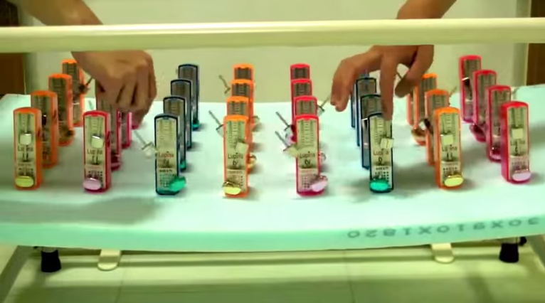Physics Unfolds Right Before Your Eyes in this Display of Synchronicity