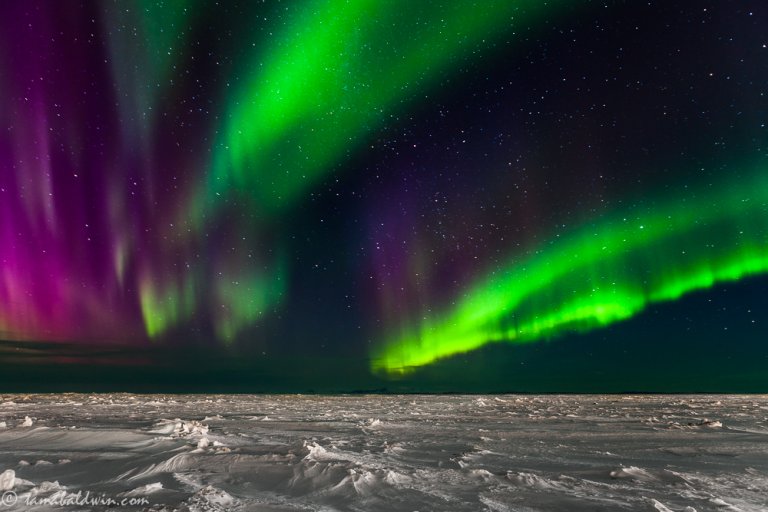 Amazing Images of the Aurora: