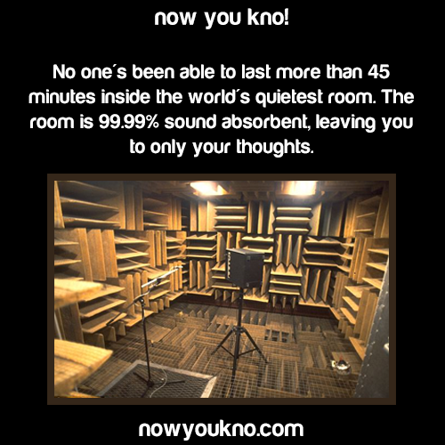 Can Prolonged Silence Really Lead to Insanity?