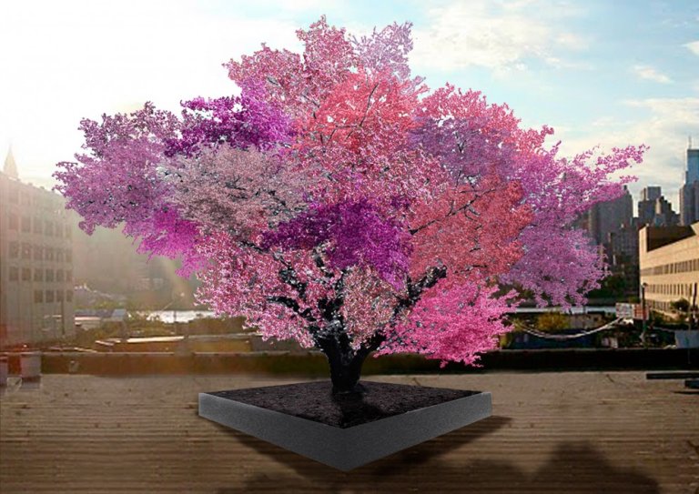 Researcher Creates Amazing Tree that Grows 40 Kinds of Fruit