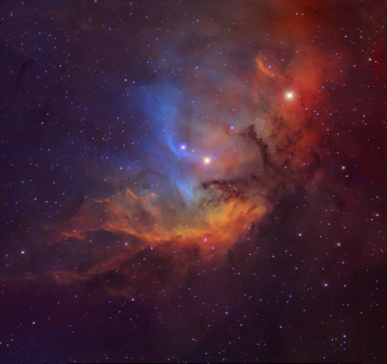 Astronomy Picture of the Day: 12/08/13 – The Tulip Nebula