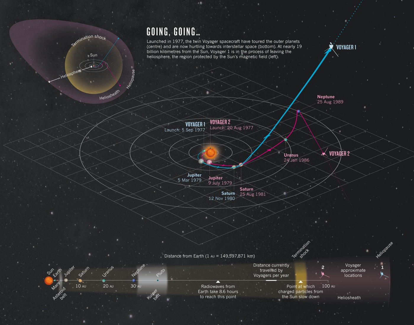 Voyager Infographic