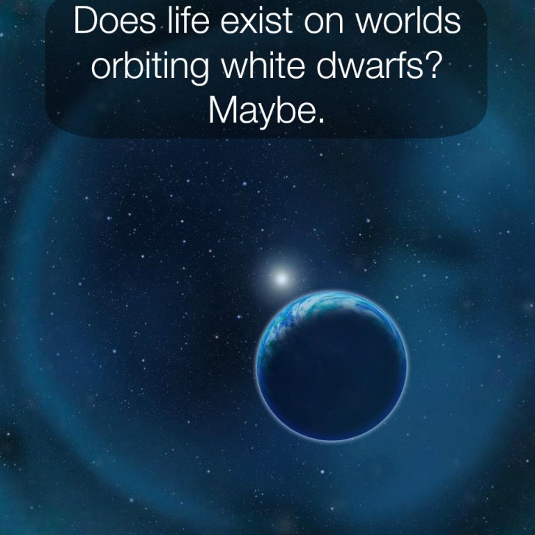 Does Life Exist on Planets Orbiting White Dwarfs?