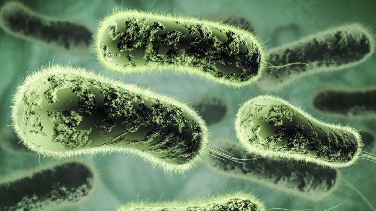 Antibiotic Apocalypse: Bacterial Resistance to Last-Resort Antibiotic Is Emerging