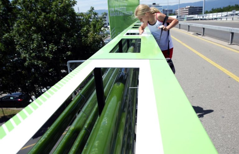 The Algae Farm That Eats Highway Pollution