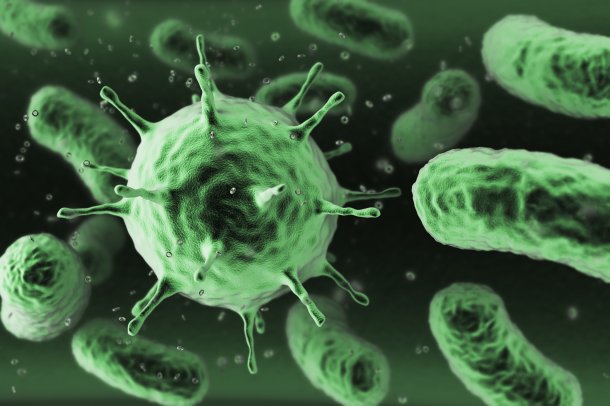 Scientists Discover Bacteria that Produces Hydrogen