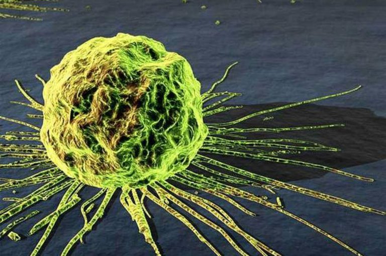 We All Win! Highest Court Rules, You Can’t Patent Human Genes