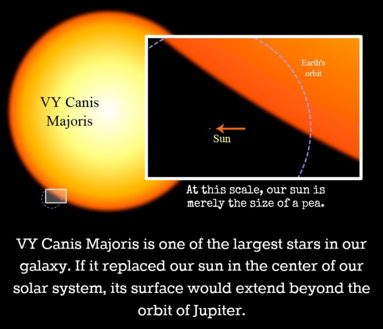 Stellar Heavyweights: VY Canis Majoris