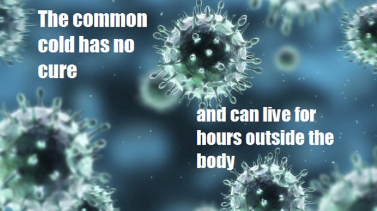 What is the Common Cold? (Myths & Facts)