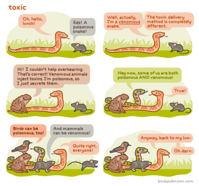 Difference Between Venom & Poison Explained By Adorable Animals