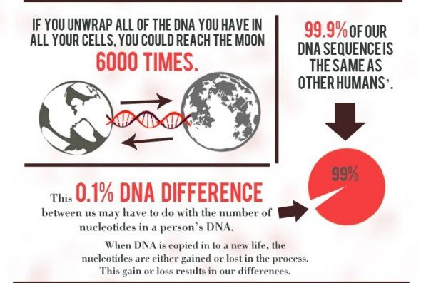 17 Amazing Facts About Your DNA