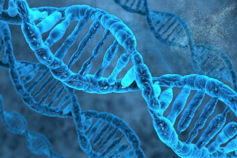 The World’s Largest Animal Cloning Center is Under Construction in China
