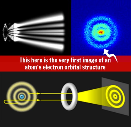 Undressing the Atom: Imaging its Wave Function