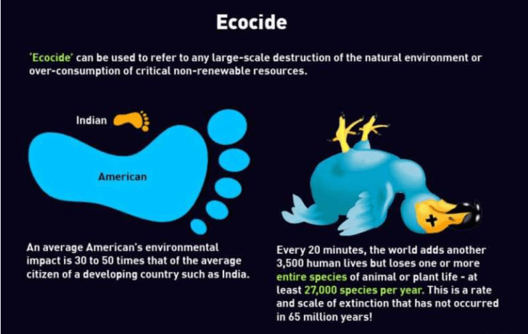 ‘Real-time’ World Population Metrics:
