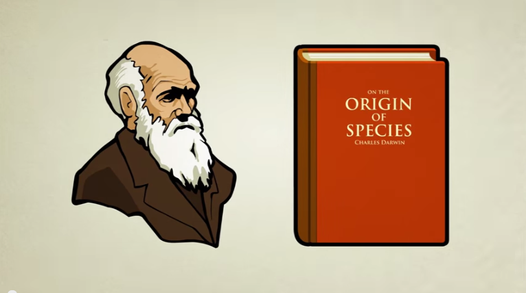 What is the Evidence for Evolution?