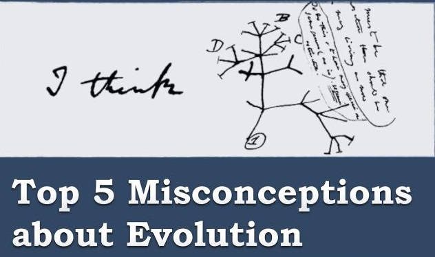 Top 5 Misconceptions About Evolution
