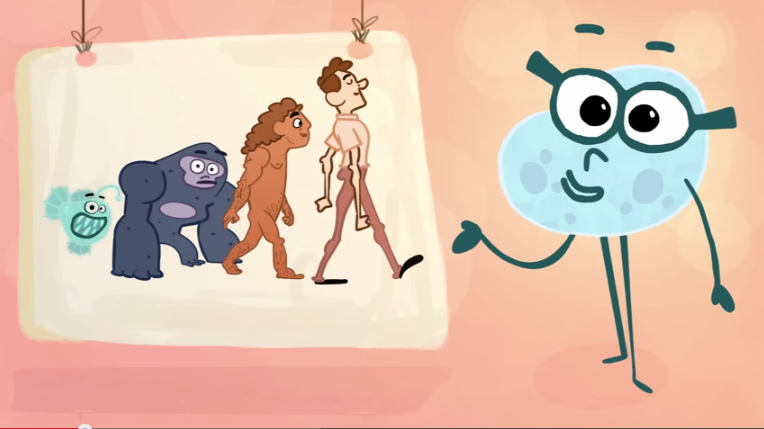 Myths & Misconceptions About Evolution
