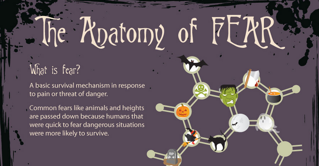 This is Your Body on Fear (Infographic)