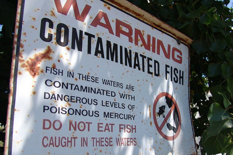 Engineers Find Way to Remove Heavy Metals from Contaminated Water