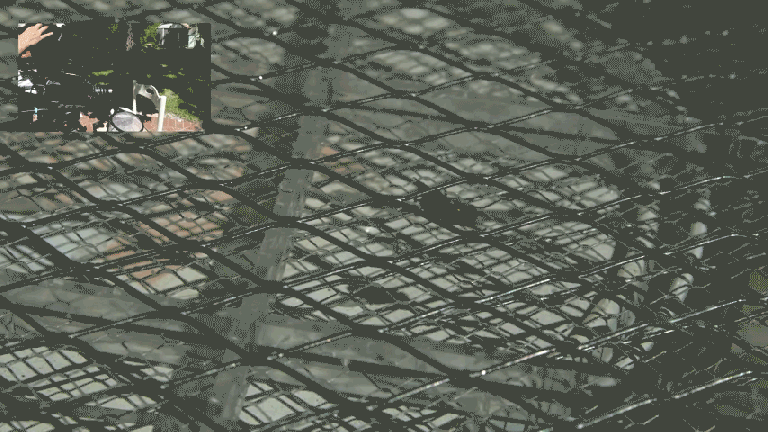 Watch: Electric Bug Zapper in Slow Motion