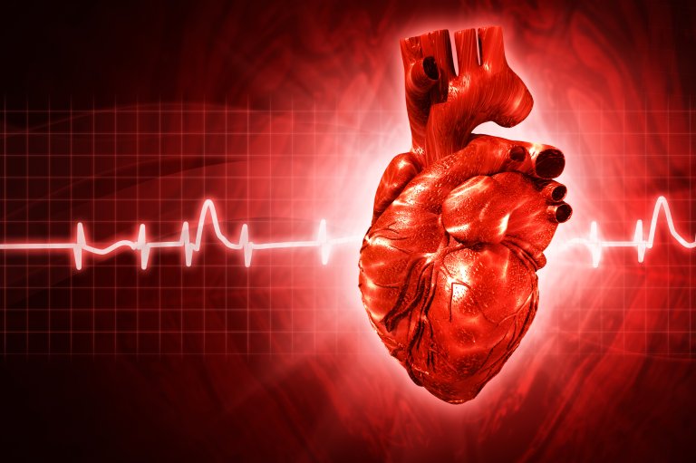 Finding a Cure: Google Launches $50 Million Grant to Cure Heart Disease