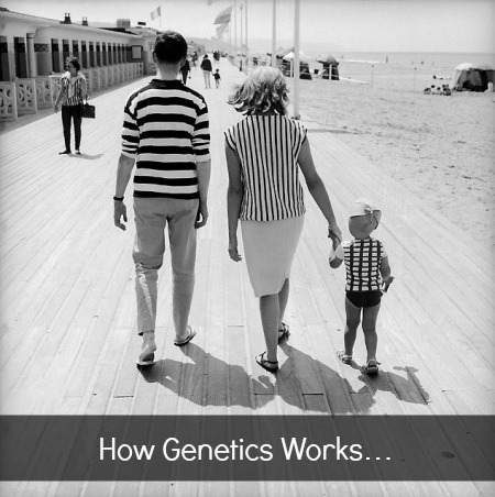 Genetics and the Benefits of Inbreeding: