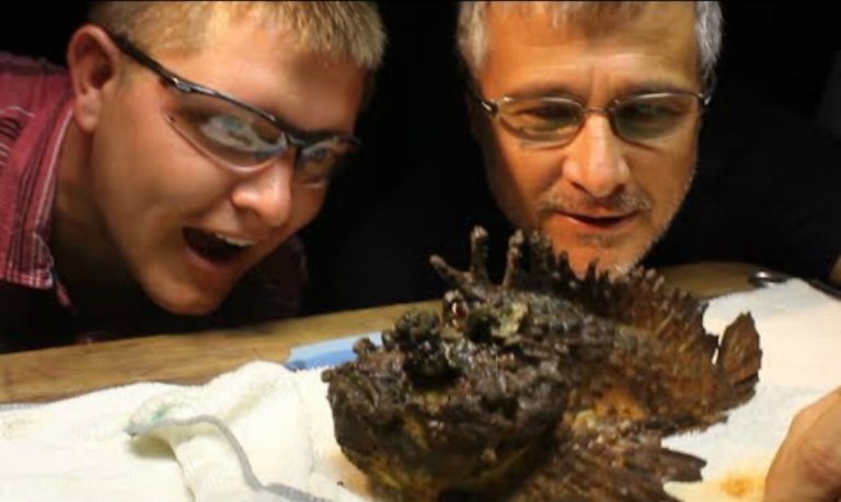 Watch: Milking the World’s Most Venomous Fish