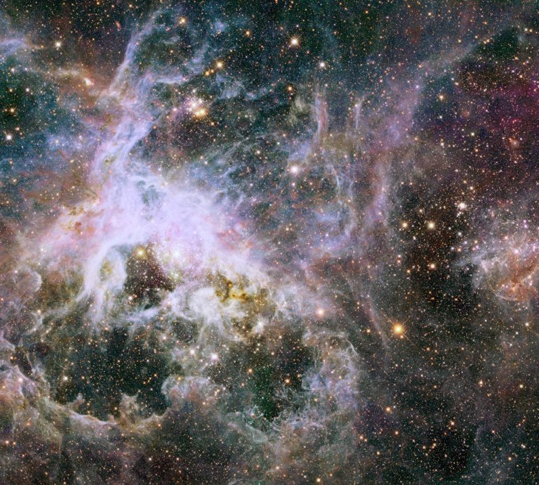 A Beautiful Web in The Tarantula Nebula: