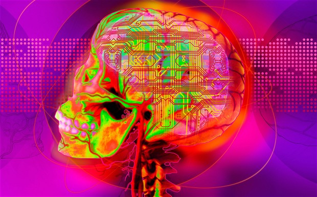 Meet the Smartest People Alive Today (video)