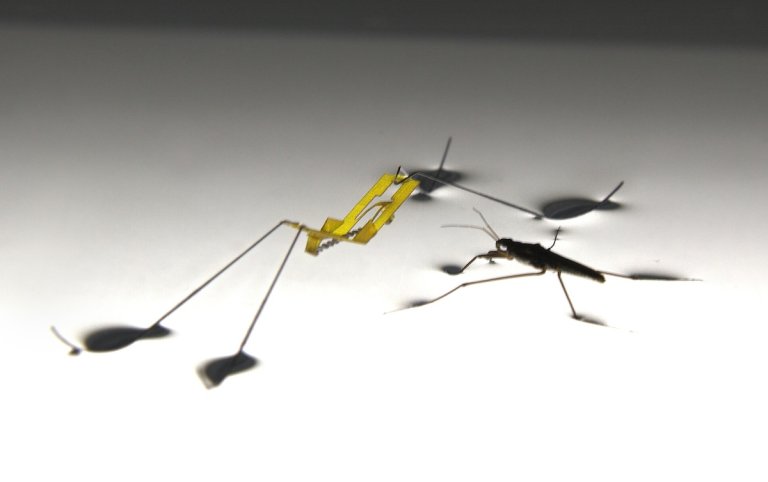 The Bug-Inspired Robot That Can Jump On Water