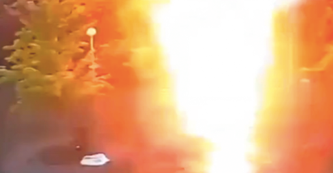 Why You Shouldn’t Hide From Lightning Under a Tree