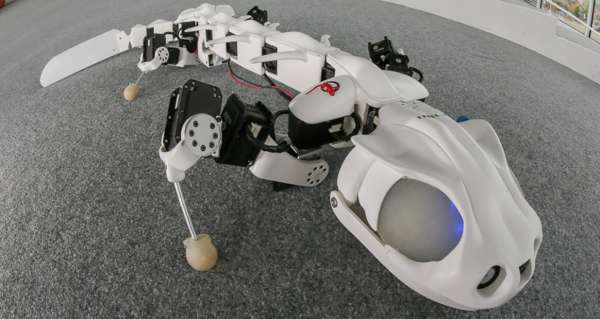 pleurobot.png?quality=85&w=1200
