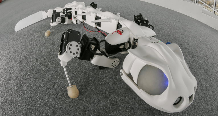 Scientists Build One of the Most Accurate Robotic Animals Based on a Salamander
