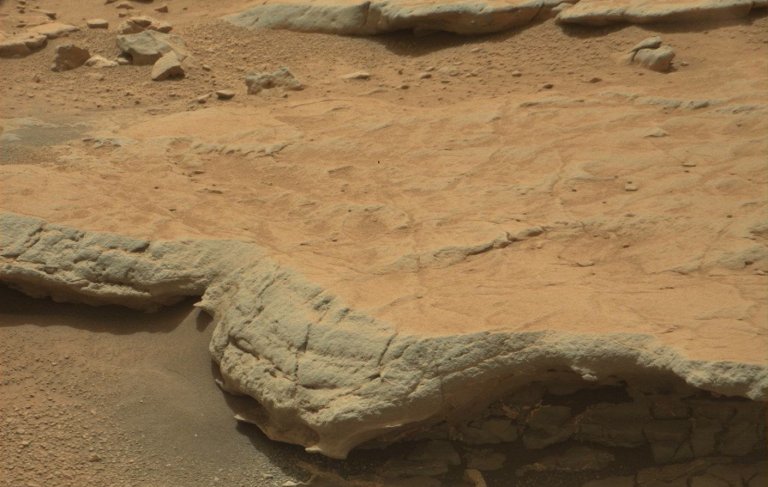 Potential Signs of Ancient Life on Mars Seen in Rover Photos