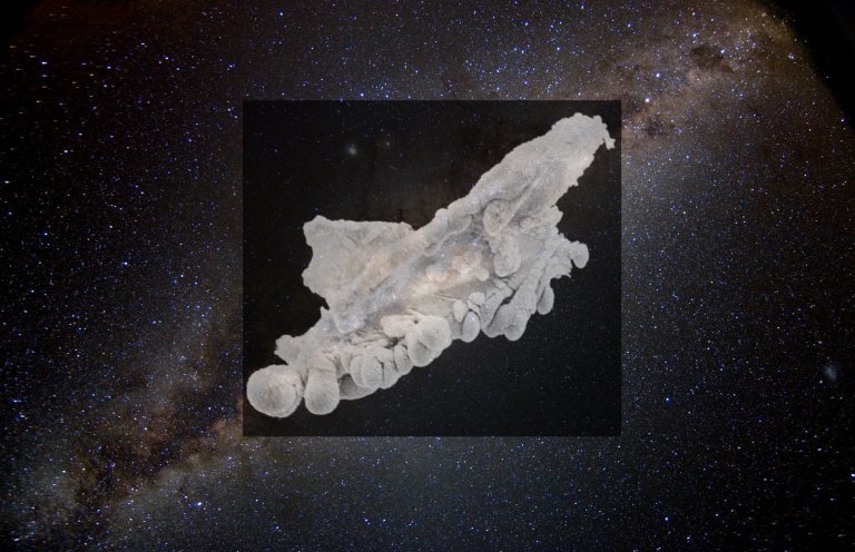 Scientists Find Proof of Alien Life? Well, Not Quite