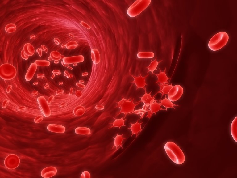 First US Organ Transplant from an HIV-Positive Donor to Take Place