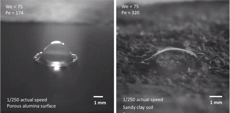 See The Smell of Rain (video)