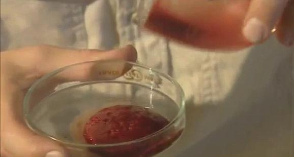 What Snake Venom Does To Your Blood (Video)