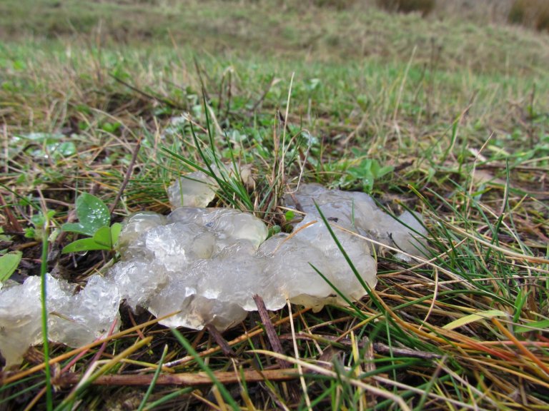 Strange & Unexplained Things in Science: Star Jelly