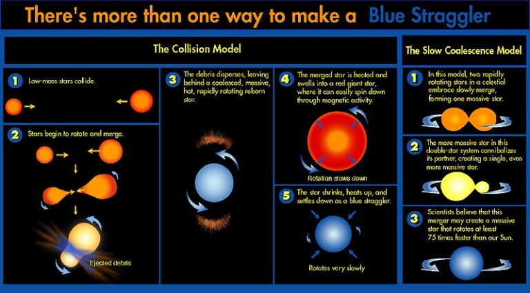 Blue Stragglers: The Blood Suckers of the Universe