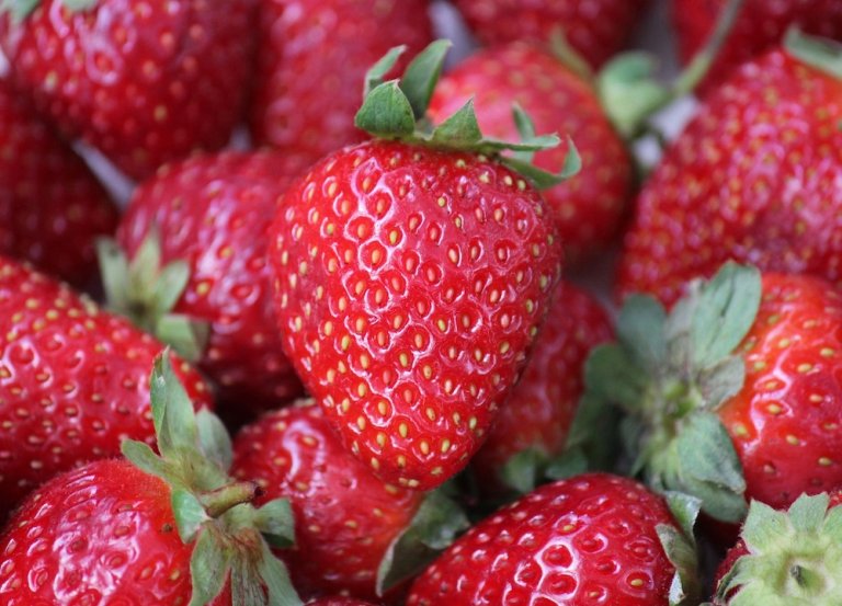 The Ozone Layer and Strawberries: Believe It or Not, They’re Related