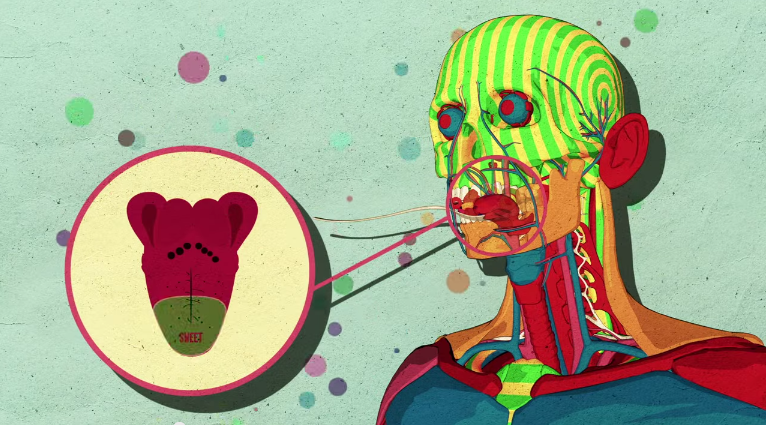 How Does Sugar Affect Your Brain?
