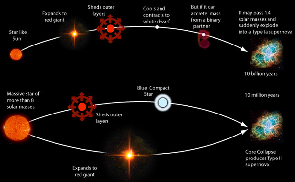 What is a Type II Supernova?