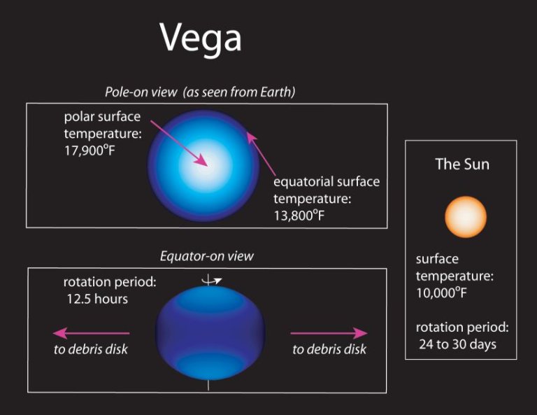 Get to know Vega:
