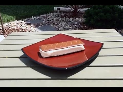 Why Don’t Walmart’s Ice Cream Sandwiches Melt?