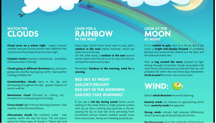How To Predict The Weather Using Only Nature (infographic)