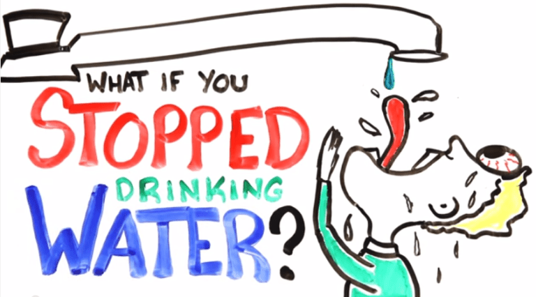 Your Body Without Water: What If You Consumed No H2O?