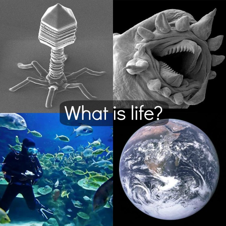 What is Life?