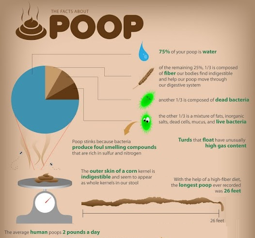 A World of Poop–Literally