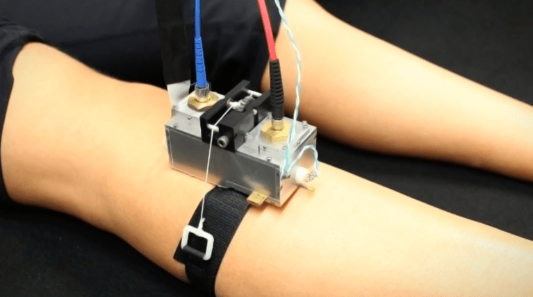 Stanford Researchers Develop Microscope That Allows First-Ever Look at Live Muscle Units in Action